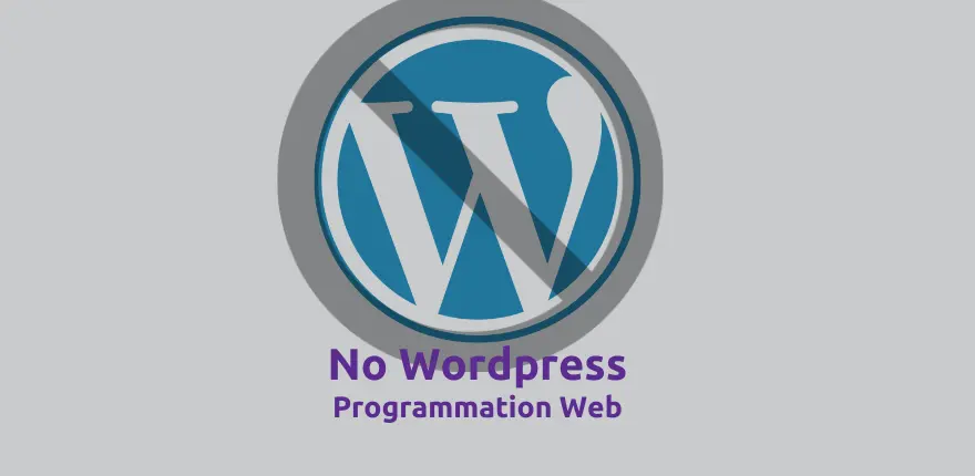 Pourquoi nous développons des sites web sur mesure plutôt que d'utiliser Wordpress? 